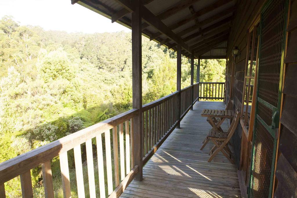 Tall Trees Eco Retreat - Blackwood Cottage Apollo Bay Exterior photo