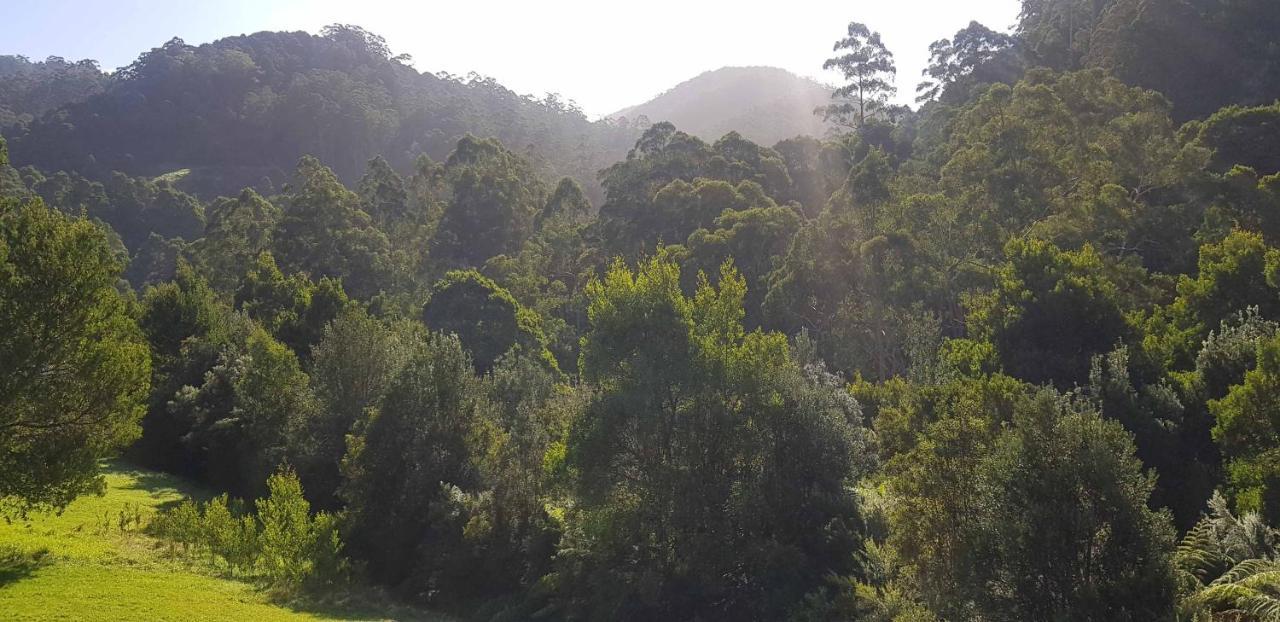 Tall Trees Eco Retreat - Blackwood Cottage Apollo Bay Exterior photo